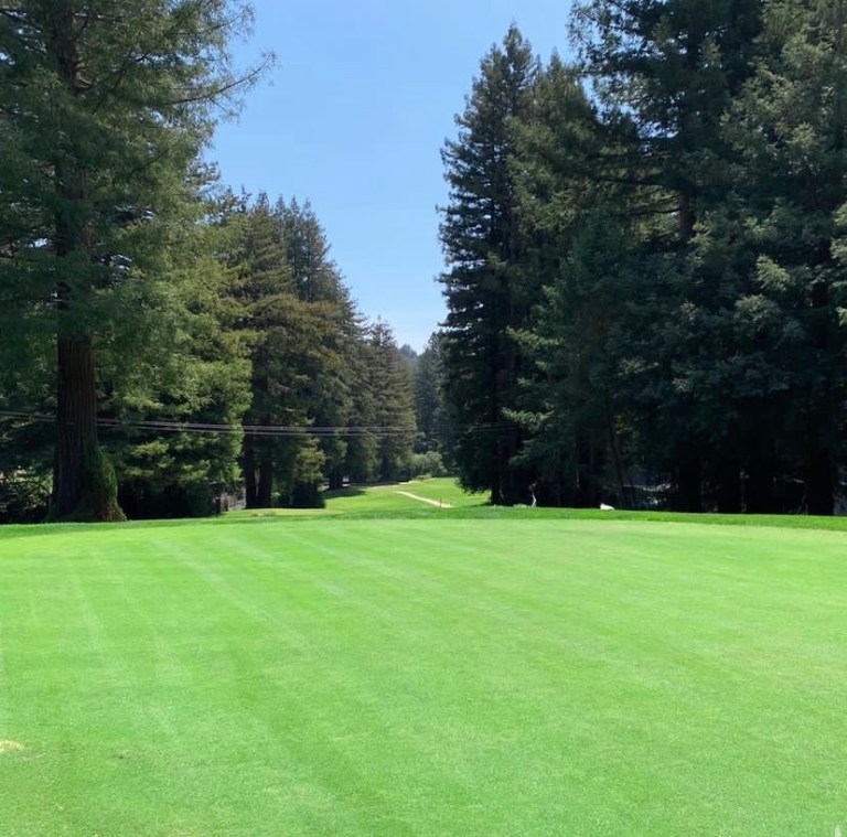 Golf course in the Santa Cruz Mountains among redwoods