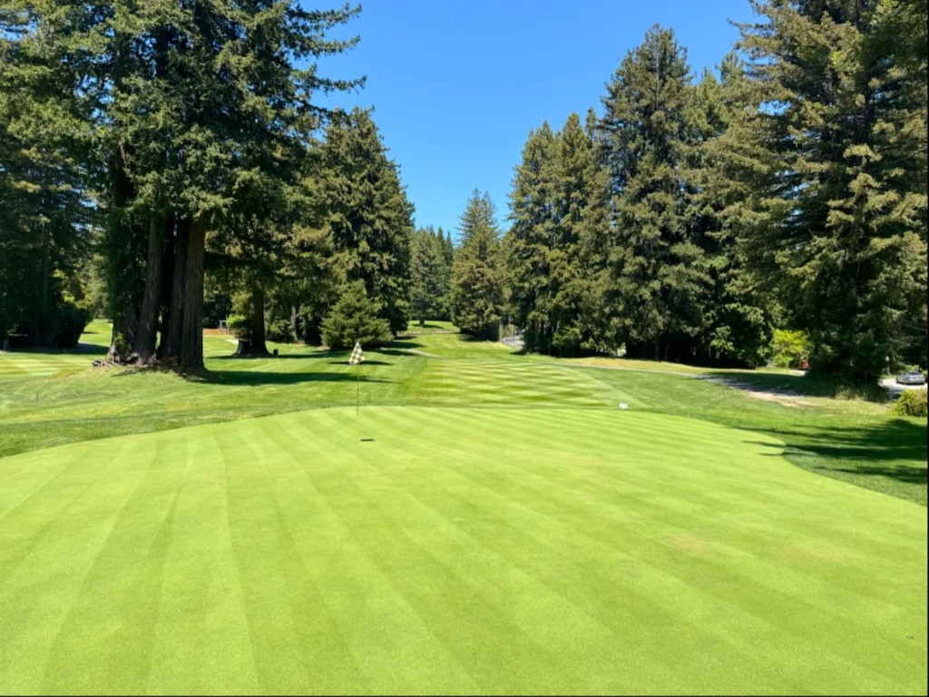 Boulder Creek green and fairway lined by redwoods