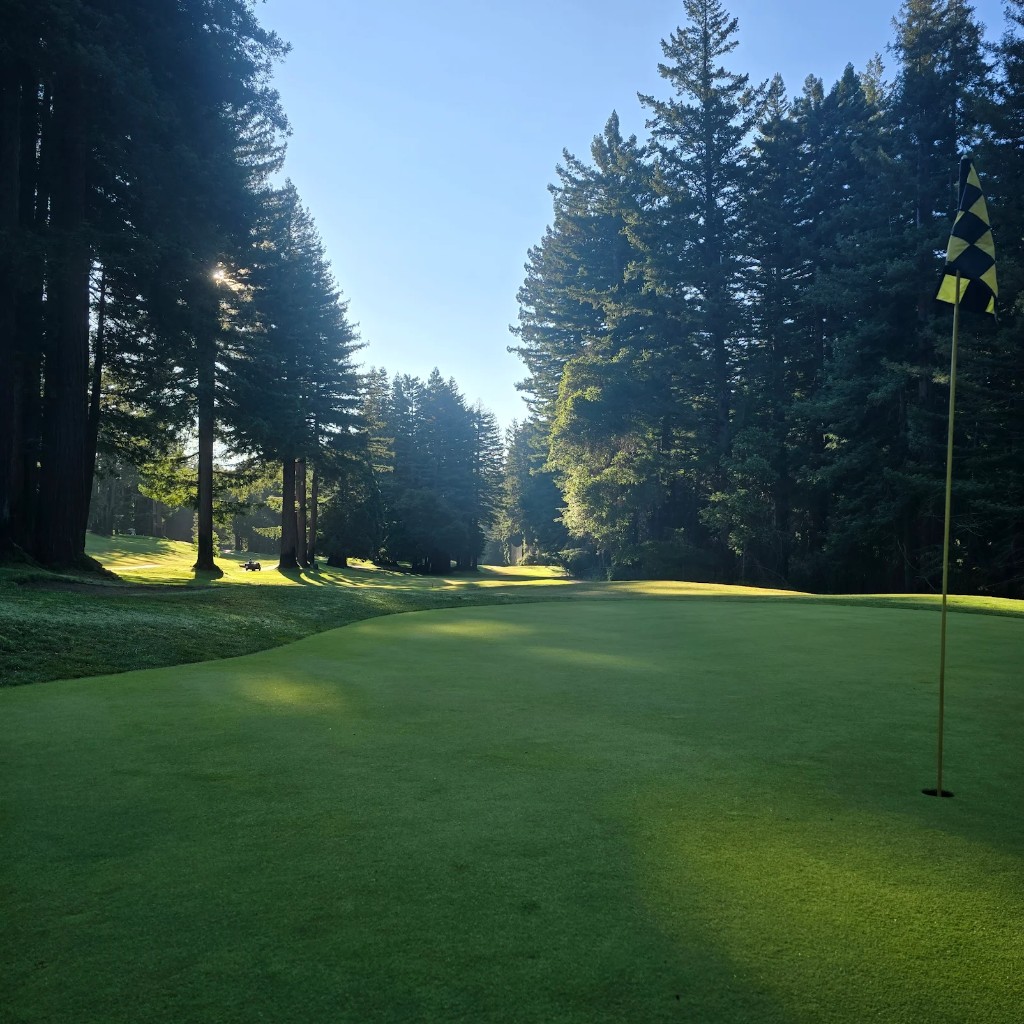 Boulder Creek fairway and green with redwoods